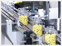 capsule counting and filling machine