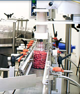 capsule counting and filling machine